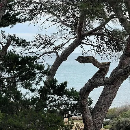Sol Radiante Canyamel (Mallorca)